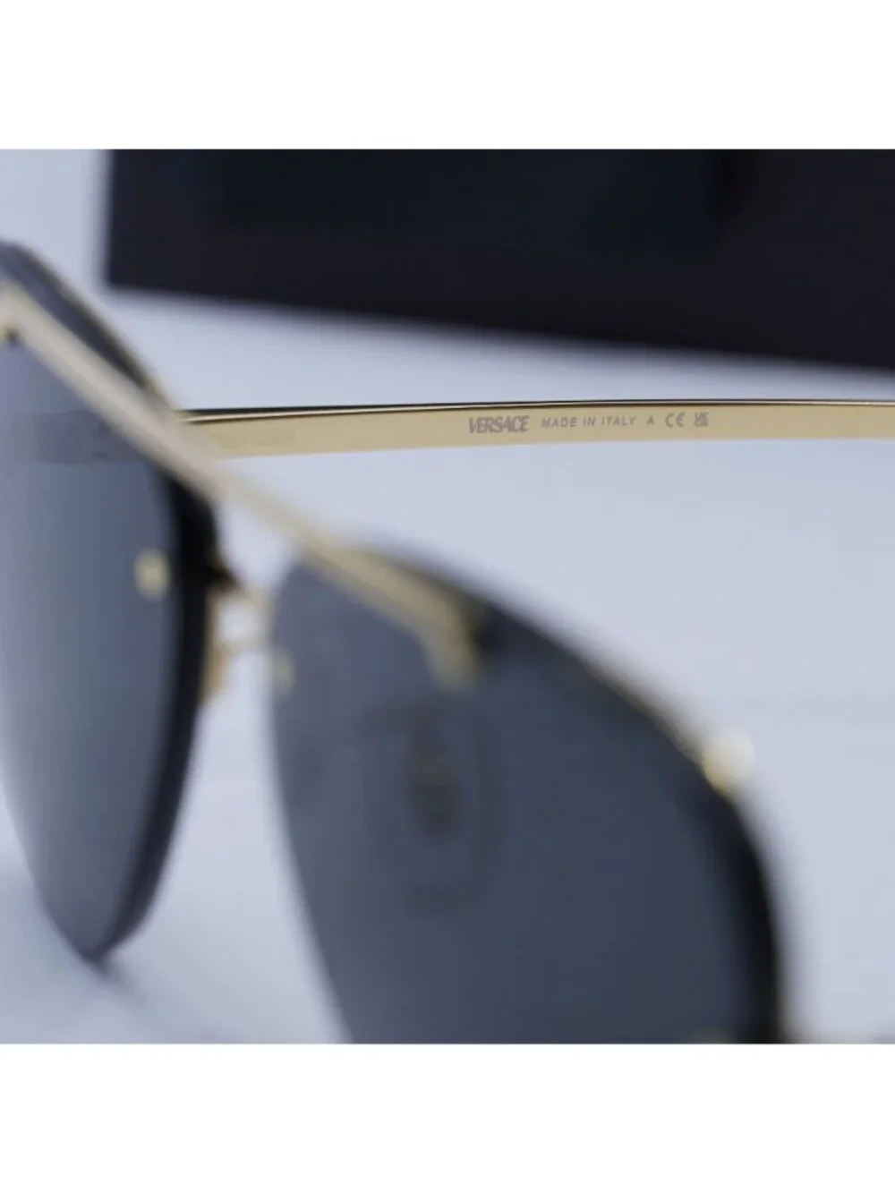 Versace model ve2231